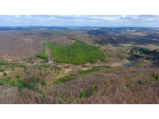 Property photo 29 - LAND AUCTION - 2,596+/- ACRES IN 28 TRACTS IN COSHOCTON & MUSKINGUM COUNTIES, OHIO